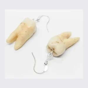 Human Tooth Earrings