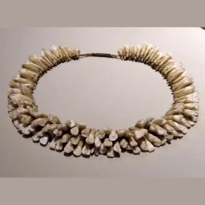 human tooth necklace