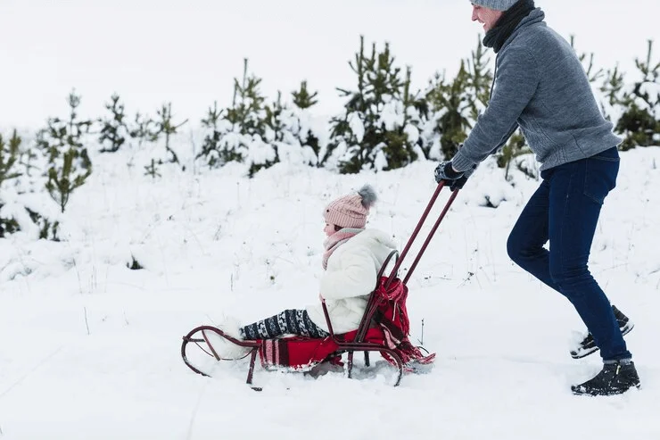 Sledding Down the Hill, Christmas Photoshoot Ideas