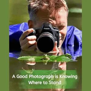 a good photograph is knowing where to stand professional photographer