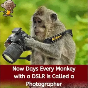 now days every monkey with a dslr is called photographer pictures of meme