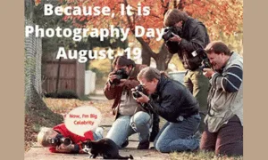 photography meme