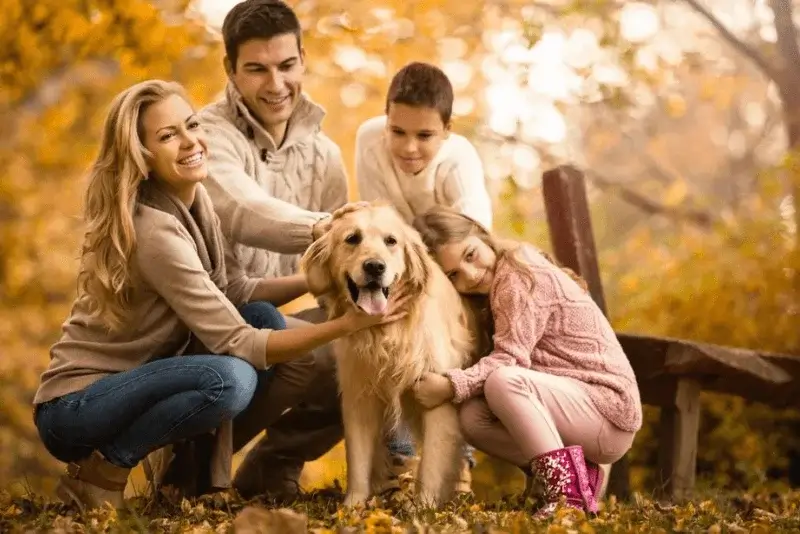 Capturing Fall Moments with Pets, Fall Family Photoshoot