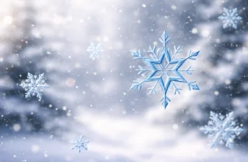 Snowfall Effect Before Editing snowfall effect before editing minimal snow particles