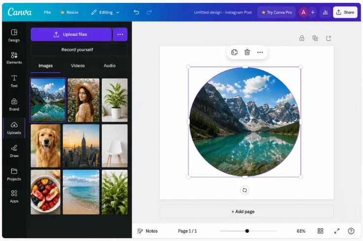 drag image into frame in canva masking tutorial